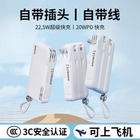 领臣 AC充电器多功能移动电源PS-D10