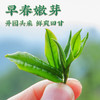【2025年春茶】买7送1！吉顺号茶叶古300曼松普洱生茶饼357克 商品缩略图1