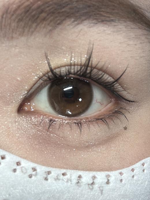 chocoing半年抛 琥珀光晕 棕 小高光 有14.2/14.5mm两个直径  有同款月抛 商品图1