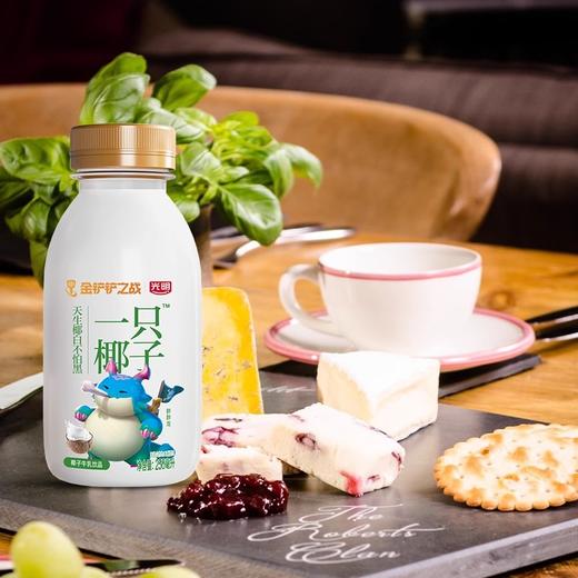 一只椰子牛乳饮品 250ml*8 商品图0