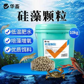 华畜硅藻颗粒水产养殖增氧培藻鱼塘虾蟹池塘用低温肥水藻种稳定剂