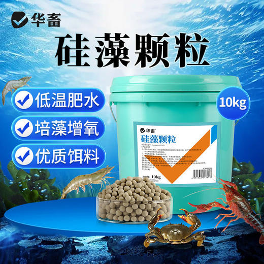 华畜硅藻颗粒水产养殖增氧培藻鱼塘虾蟹池塘用低温肥水藻种稳定剂 商品图0