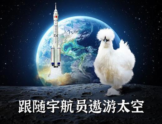 《限时：拍2减15元》乌鸡中的战斗鸡【泰和原种鸟鸡】地理标志产品！林间散养，汤香肉鲜，养殖180天，新鲜屠宰排酸净重700g左右，顺丰发货【生鲜发出不支持退款退货转寄拦截】 商品图1