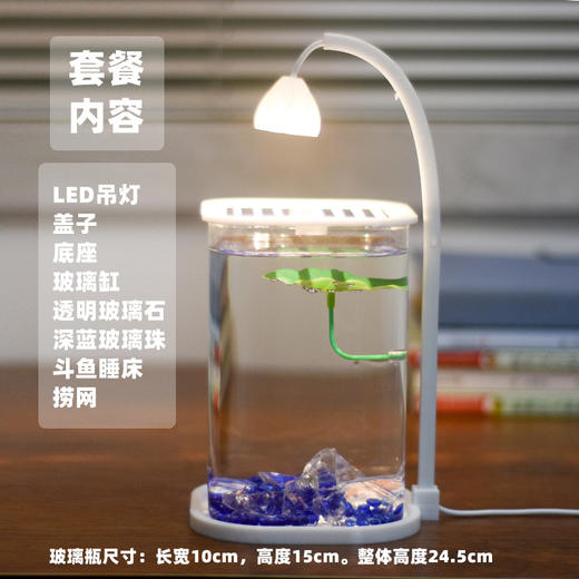 【新款斗鱼专用缸，高透玻璃桌面鱼缸】斗鱼专用缸 高透小型 懒人造景玻璃 桌面专用鱼缸 宿舍小夜灯 网红礼物-QQ 商品图9