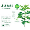 【蕲艾艾草膏】清凉舒缓 健肤护肤 ~ 商品缩略图5