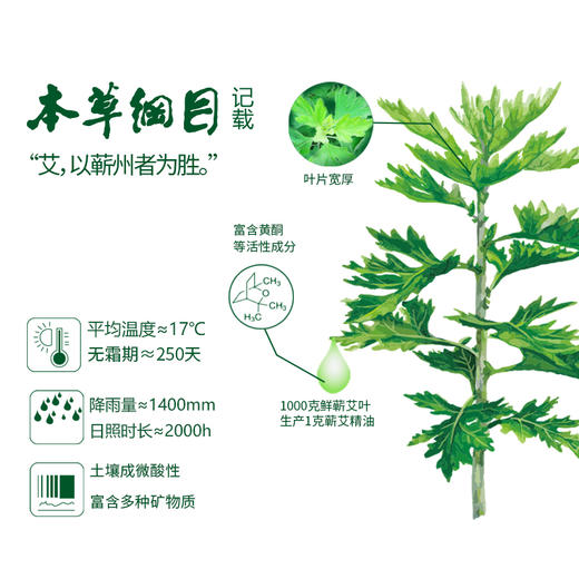 【蕲艾艾草膏】清凉舒缓 健肤护肤 ~ 商品图5