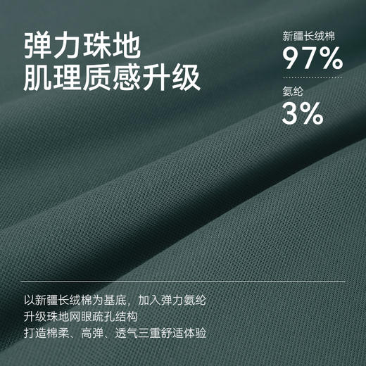 十如仕针织汗无痕小领短袖POLO-P21-01 商品图8