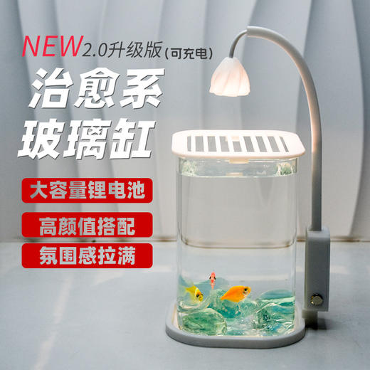 【新款斗鱼专用缸，高透玻璃桌面鱼缸】斗鱼专用缸 高透小型 懒人造景玻璃 桌面专用鱼缸 宿舍小夜灯 网红礼物-QQ 商品图1
