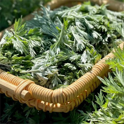 明大妈蕲艾叶（可泡脚 自制艾绒艾柱 杀菌） 商品图3