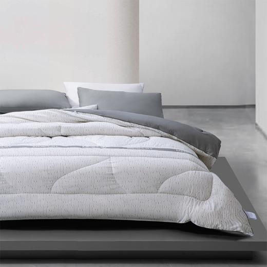 水星家纺 M舒静安眠·负离子净醛·大豆抗菌冬厚被(烟岚云岫)200*230cm 商品图3