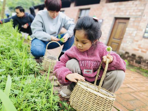 2025年秋季亲子 节气生活家 缴费链接 商品图1