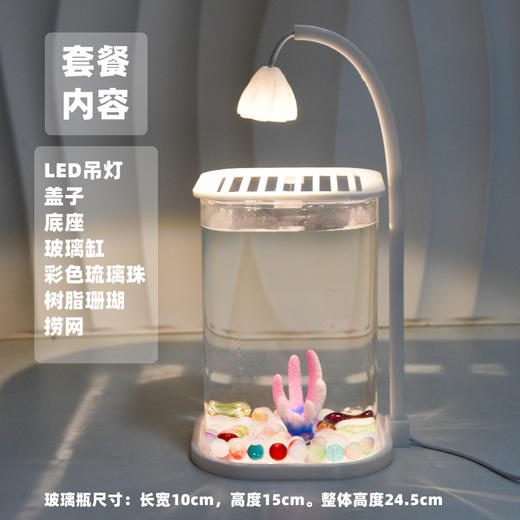 【新款斗鱼专用缸，高透玻璃桌面鱼缸】斗鱼专用缸 高透小型 懒人造景玻璃 桌面专用鱼缸 宿舍小夜灯 网红礼物-QQ 商品图11