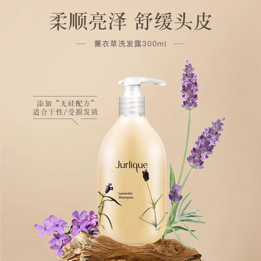 茱莉蔻蔬衣草芳香洗发露300ml 商品图1
