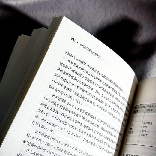 当代拉丁美洲教育研究 国际与比较教育前沿丛书 教育理论与思想 商品图13