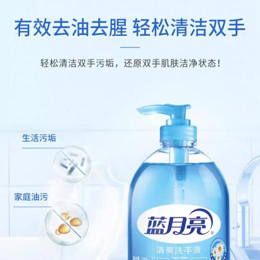 【JL】蓝月亮洗手液500g+500g组合装 2瓶/组 商品图2
