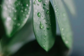 每一次熬夜，都是在消耗身体的气血