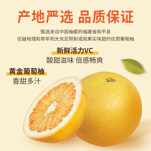 正官庄 Everytime15%红参浆浓缩液红参饮韩国参原味/西柚（原味效期至2026年1月 西柚味效期至2026年5月）【该商品不支持用券】 商品图8