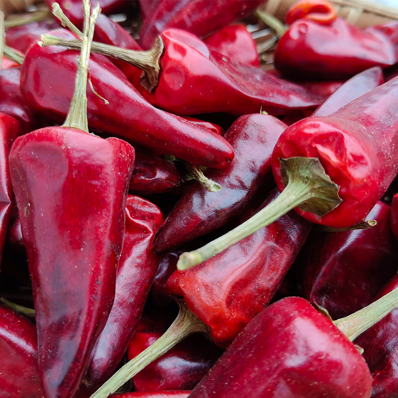 【贵州干辣椒&辣椒面&油泼辣椒】选用的子弹头，是朝天椒的一种，因其“品味温醇、香辣协调”，成为辣椒界的“傲骄”。