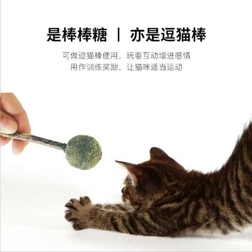 猫薄荷球棒棒糖舔舔乐猫零食自嗨猫咪玩具12cm 商品图5