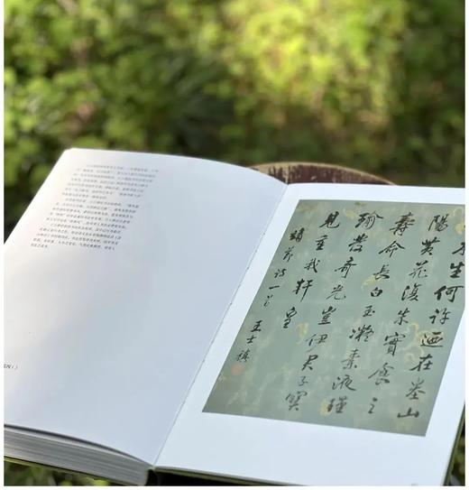 《无尽藏：苏轼的书画艺术精神》，平装，16开，南京博物院编，江苏凤凰文艺出版社2025年一版六印，页码未详，定价398，售价298.5元 商品图9