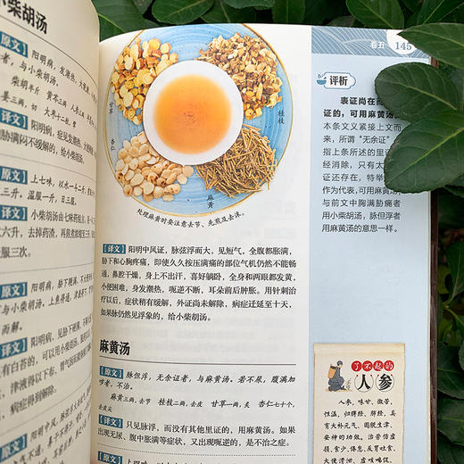 图解《伤寒论》 商品图7