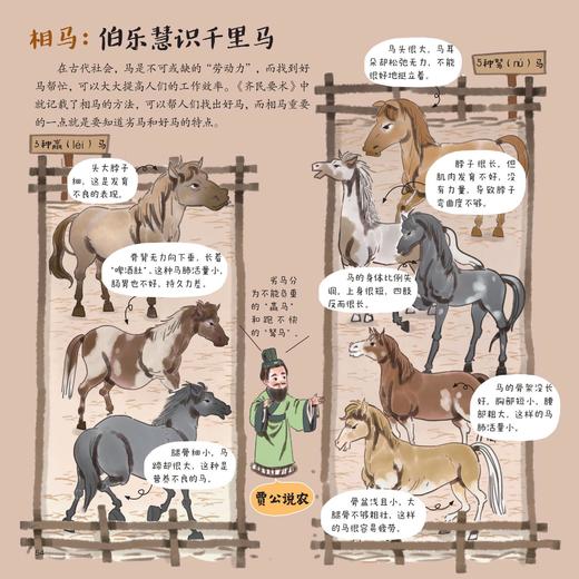 《齐民要术：给孩子的中国古代农业百科全书》 商品图7