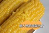寒地有机糯玉米 商品缩略图3