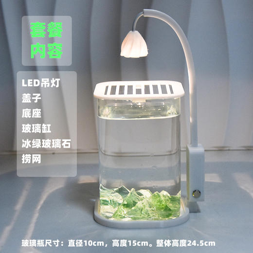 【新款斗鱼专用缸，高透玻璃桌面鱼缸】斗鱼专用缸 高透小型 懒人造景玻璃 桌面专用鱼缸 宿舍小夜灯 网红礼物-QQ 商品图6