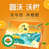云南元谋高山有机沃柑 脆嫩甜应季晚熟春桔多汁水果精品礼盒装 商品缩略图1