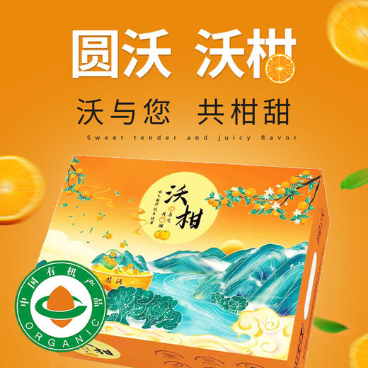 云南元谋高山有机沃柑 脆嫩甜应季晚熟春桔多汁水果精品礼盒装 商品图1