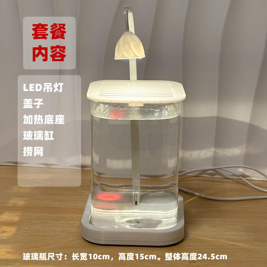【恒温加热！高透玻璃！】鱼专用缸 高透小型 懒人造景 玻璃桌面专用鱼缸 恒温加热鱼缸 网红礼物-QQ 商品图4