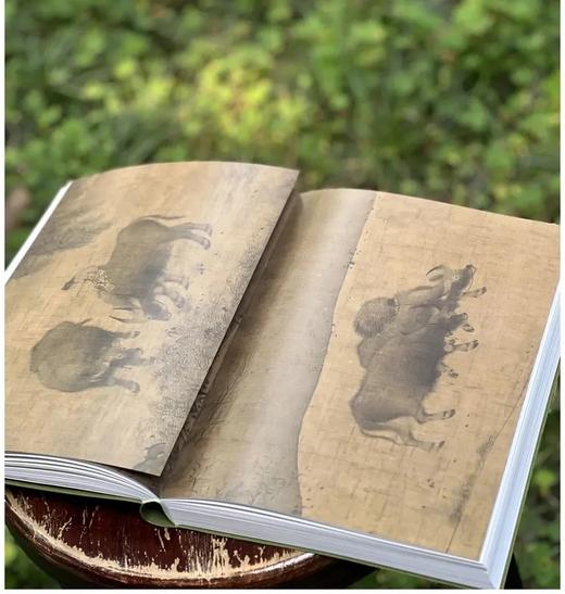 《无尽藏：苏轼的书画艺术精神》，平装，16开，南京博物院编，江苏凤凰文艺出版社2025年一版六印，页码未详，定价398，售价298.5元 商品图14