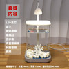 【恒温加热！高透玻璃！】鱼专用缸 高透小型 懒人造景 玻璃桌面专用鱼缸 恒温加热鱼缸 网红礼物-QQ 商品缩略图10