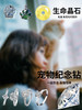 纪念品--生命晶石 商品缩略图0