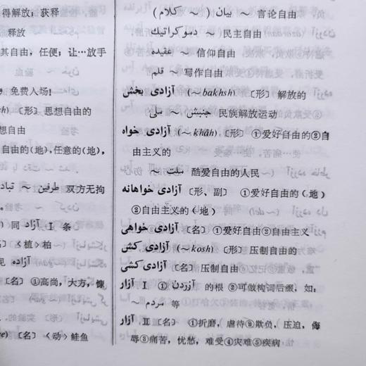 波斯语汉语词典 商品图2