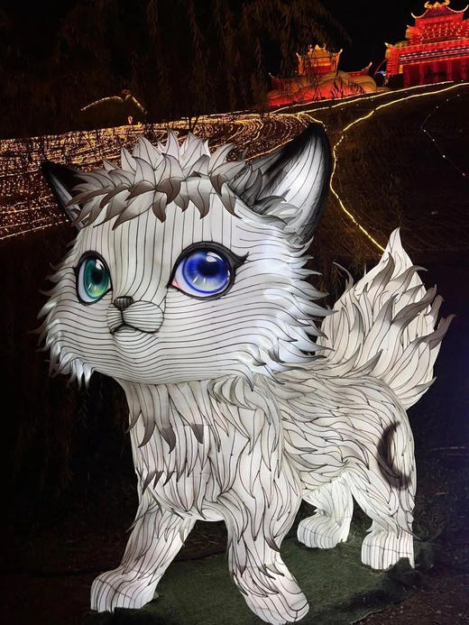 错峰游【自贡国际恐龙灯会+ 斯尔特酒店(自贡方特恐龙王国店)】
🏮错峰看灯会，亲子周边两日游 商品图10