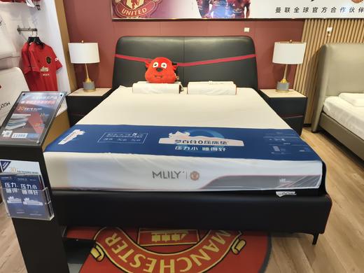 先锋皮床/XF 商品图0