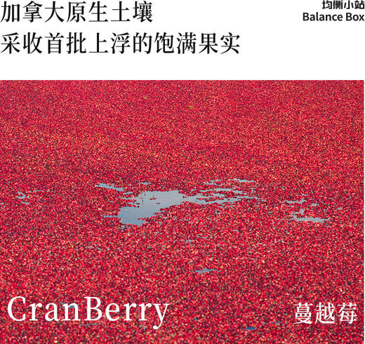 【欧米甄选—均衡小站】纯冻干蔓越莓粉3g*15/盒*2盒-会员专享 商品图1