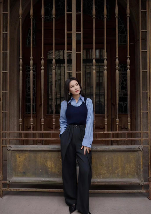 221-4 渠道货 高圆圆同款 客订专用面料 纯色白衬衫 格纹蓝衬衫 商品图6