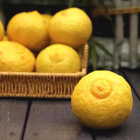 4.3下架【一果两吃】福建金钱橘  清甜水润 4.5斤/9斤 家庭/礼盒装