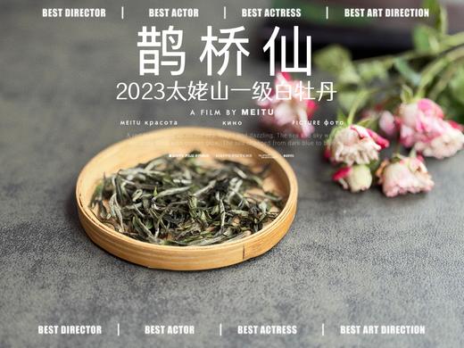 【春茶品鉴会】2023一级白牡丹《鹊桥仙》，馨香盈杯，清润润的汤感素雅洁净，仿若天山冰泉 商品图1