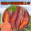 六鳌蜜薯红心蜜薯糯香甜地瓜农家种植（产地直发） 商品缩略图4