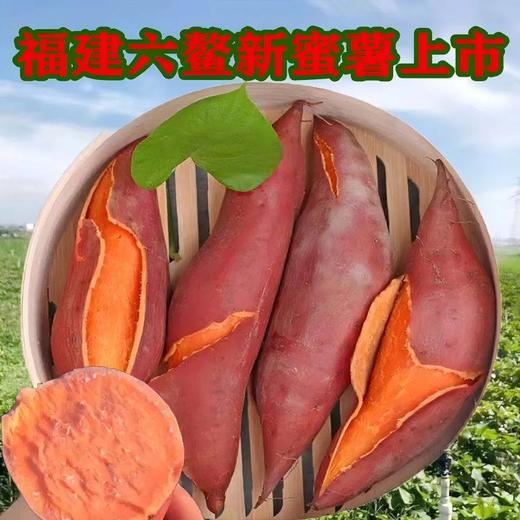 六鳌蜜薯红心蜜薯糯香甜地瓜农家种植（产地直发） 商品图4