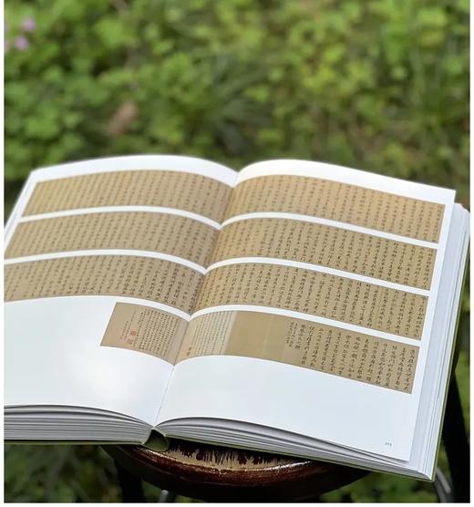 《无尽藏：苏轼的书画艺术精神》，平装，16开，南京博物院编，江苏凤凰文艺出版社2025年一版六印，页码未详，定价398，售价298.5元 商品图6