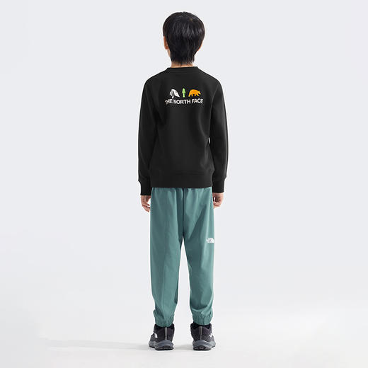 北面童装  印花长袖休闲卫衣  8DCM 商品图3