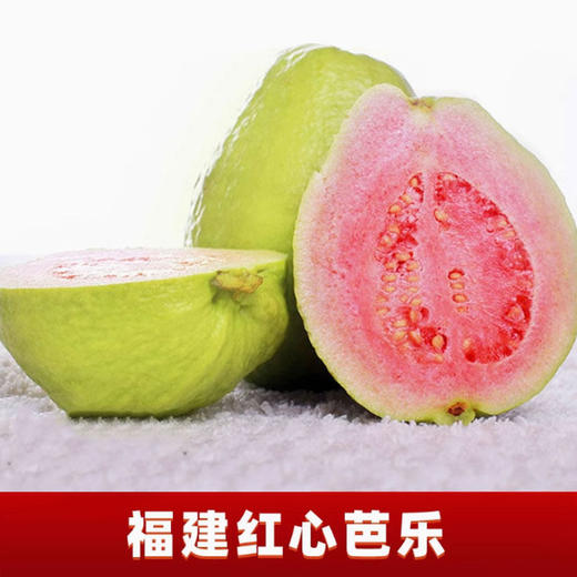 红心芭乐新鲜水果现摘当季时令水果（产地直发） 商品图0