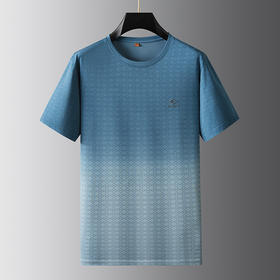 【DWP】大依优型大码短袖T恤圆领加肥加大男士大号弹力透气舒适夏季半袖