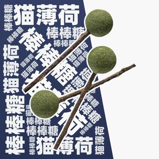 猫薄荷球棒棒糖舔舔乐猫零食自嗨猫咪玩具12cm 商品图2