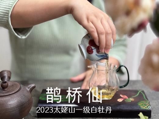 【春茶品鉴会】2023一级白牡丹《鹊桥仙》，馨香盈杯，清润润的汤感素雅洁净，仿若天山冰泉 商品图6