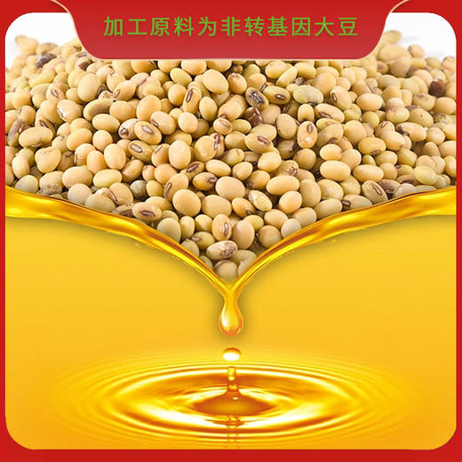 邻家饭香压榨一级花生油/玉米胚芽油/大豆油 非转基因 原料低温冷榨工艺 健康食用油 商品图11